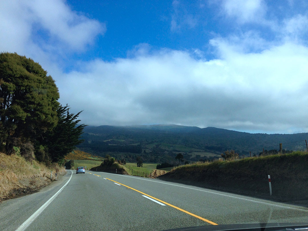 Driving through the countryside in New Zealand