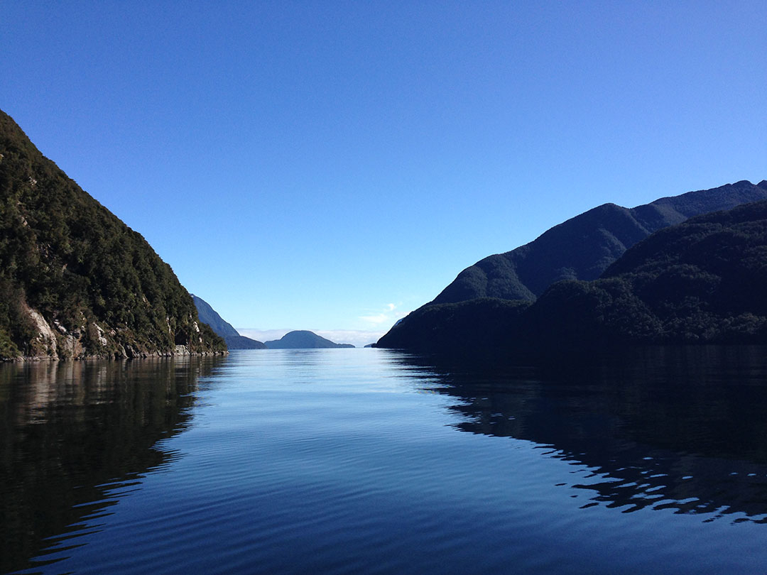 View from the back of the Catamaran, looking out over the peaceful, calm waters of Doubtful Sound with the snow-capped mountains and fjords in the background in New Zealand
