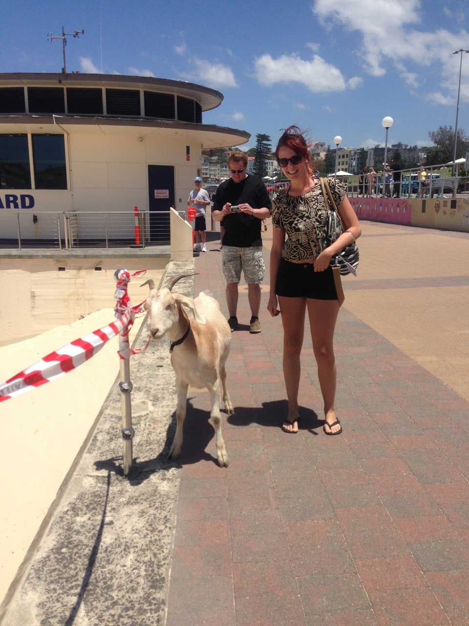 Me standing next to Gary the Goat on Bondi Beach, Sydney