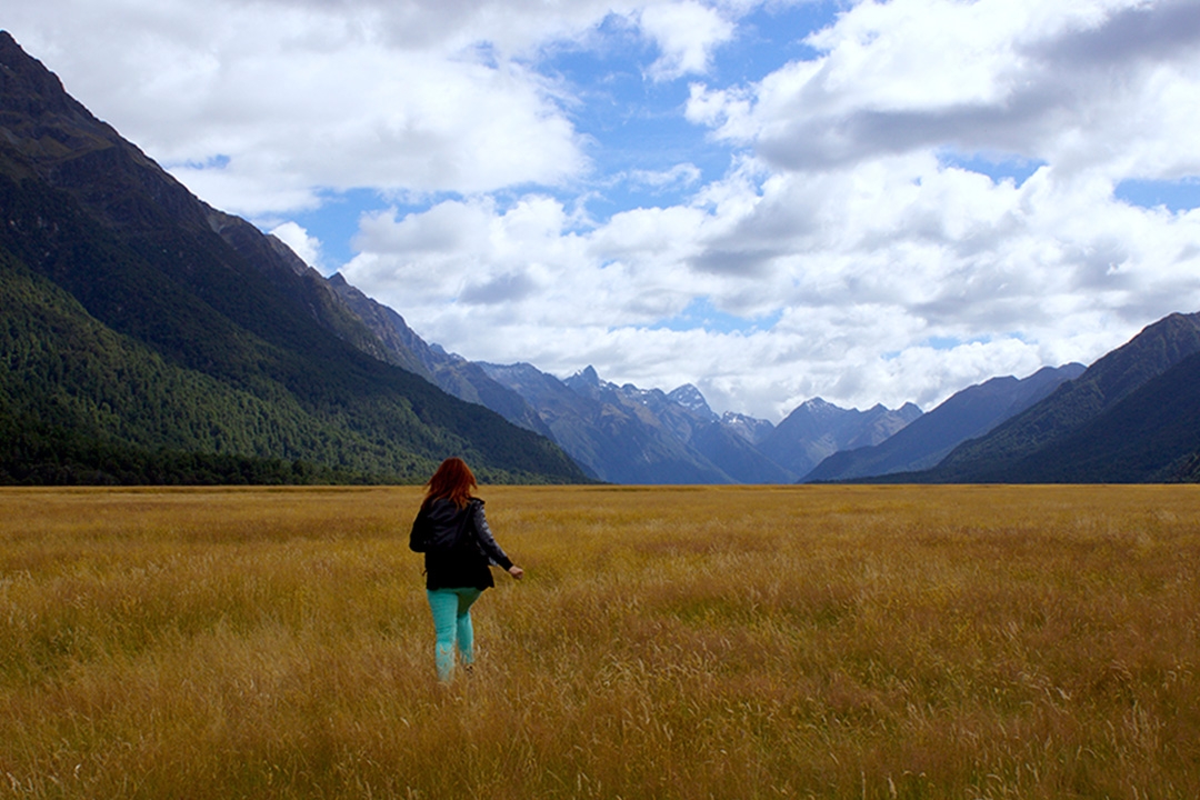 On route to Milford Sound - New Zealand