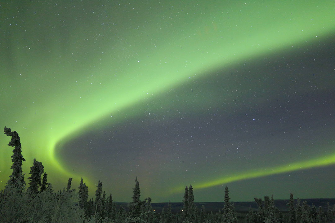 Bright green aurora borealis northern lights dancing in the sky above trees and snow in Fairbanks Alaska