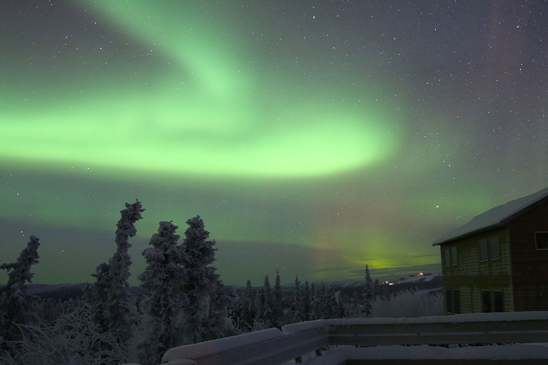 Bright green aurora borealis northern lights dancing in the sky above trees and snow in Fairbanks Alaska