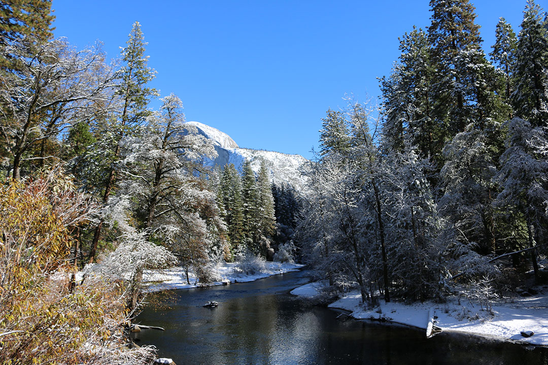 Perfect view of Half Dome looking proud over Yosemite National Park with a stream edged by snow on a perfect blue sky winter day