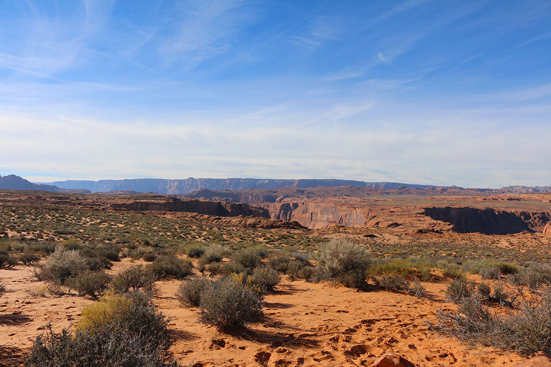 Wide open land out near Antelope Canyon with yellow sand and grey green shrubs and bright blue sky