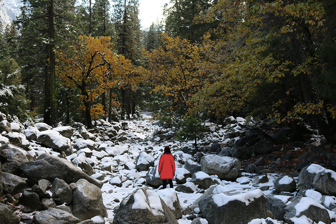 Me wearing a red jacket standing in a dried up river of stones and rocks covered in snow with green and orange trees lining the sides during Winter in Yosemite National Park