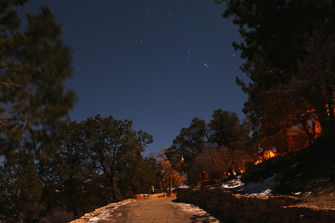 Dimly lit path along the edge of the Grand Canyon South Rim at night with trees lining the edge and stars glistening