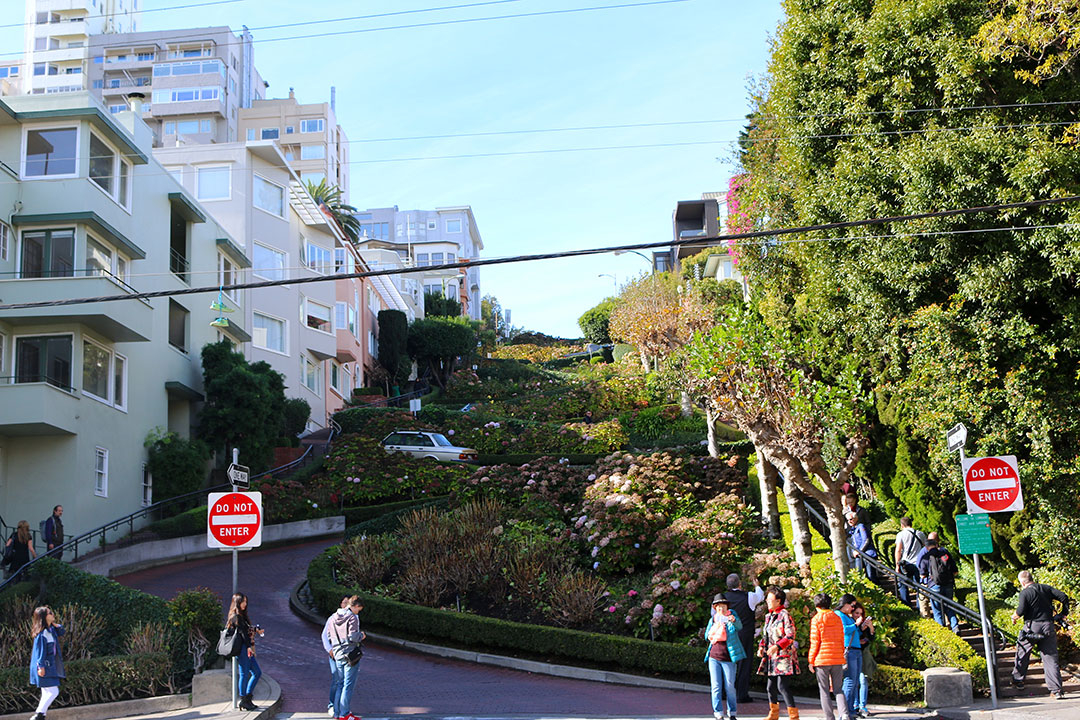 View from the bottom of crooked Lombard Street in San Francisco with coloured houses and lots of greenery