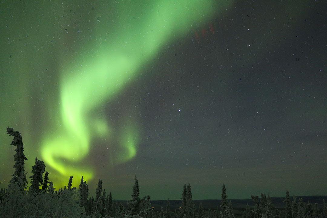 Bright green aurora borealis northern lights dancing in the sky above trees and snow in Fairbanks Alaska