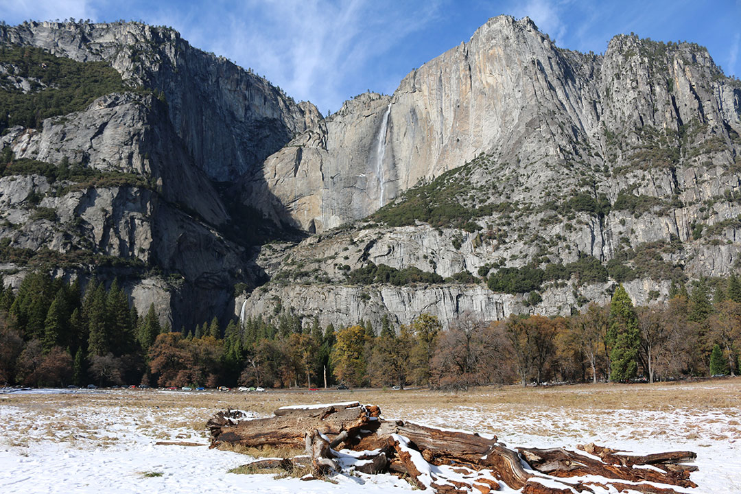 Upper and Lower Yosemite Falls against a blue sky background with snow covered brown logs and sticks in the foreground