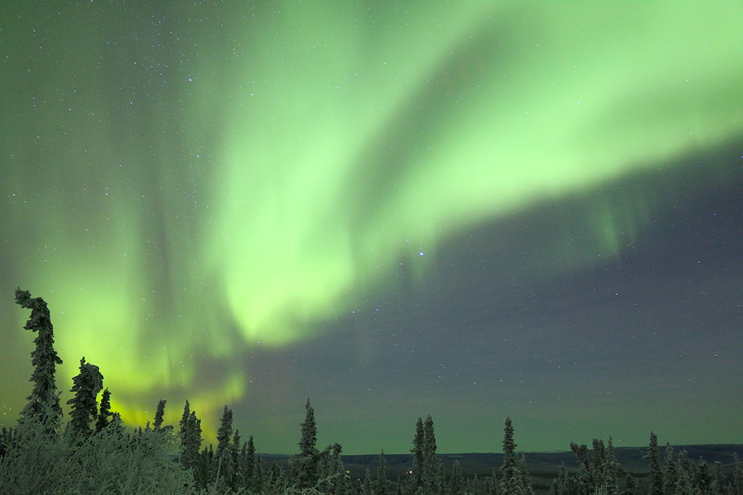 Bright green aurora borealis northern lights dancing in the sky above trees and snow in Fairbanks Alaska