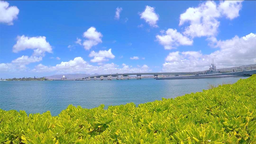 Looking out over the yellow green bushes to the sparkling water of Pearl Harbour with a beautiful blue sky and white fluffy clouds in Hawaii