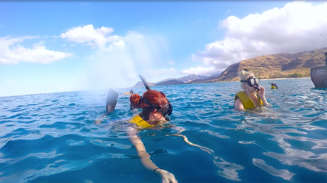 Friends snorkelling looking for wild dolphins in Hawaii