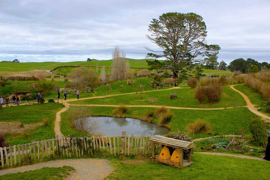 Lake in Hobbiton surrounded by green fields and small hobbit houses, part of the Lord of the Rings Set in Matamata New Zealand