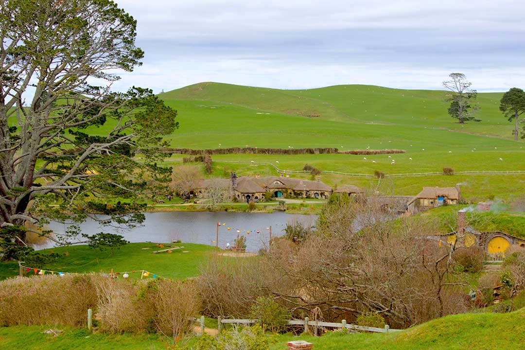 Wide open green fields of Hobbiton from Lord of the Rings in Mata Mata New Zealand