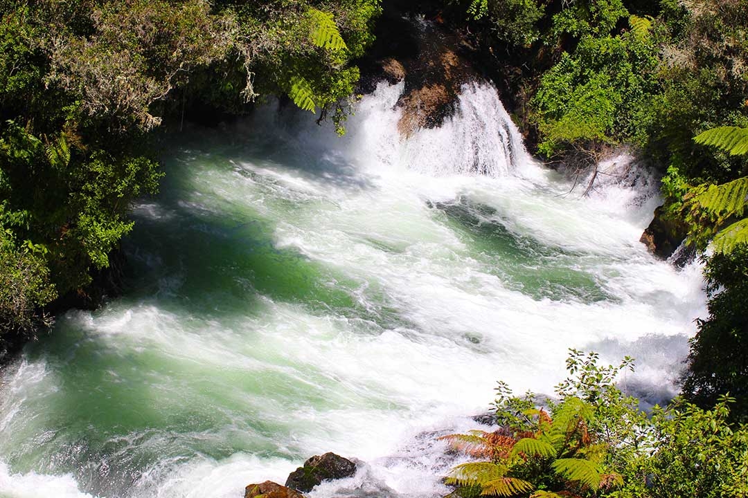 Some of the amazing rapids near Rotorua New Zealand where Mum and I went white water rafting