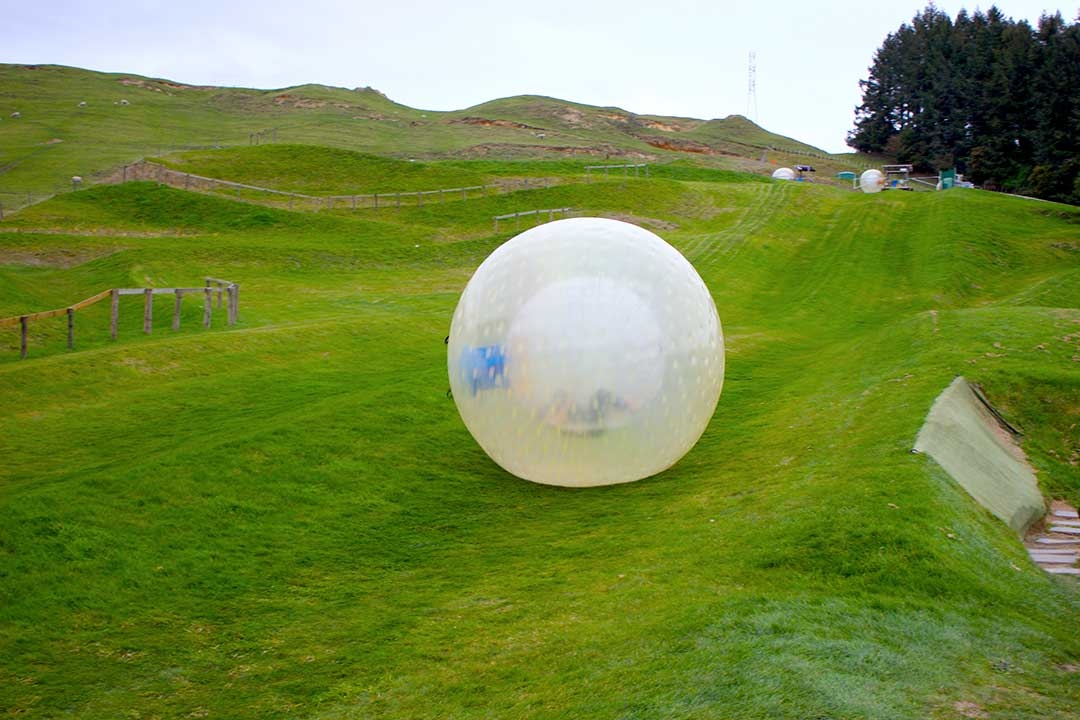 Our OGO zorbing ball rolling to a stop after coming down the grassy zigzag path in Rototua, New Zealand