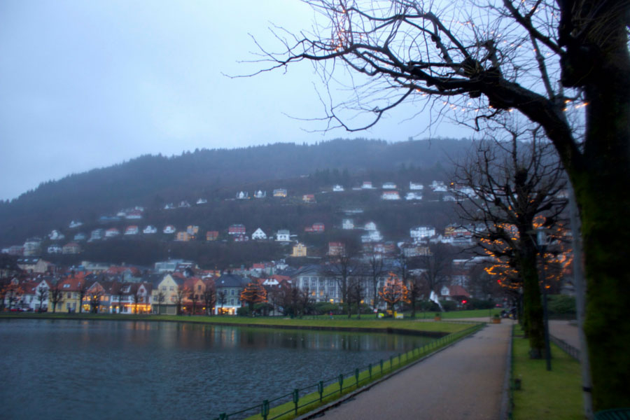 Bergen Lake on a rainy winter day in Norway with colourful houses in the background and bare trees with fairy lights