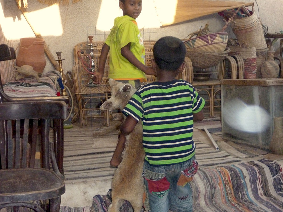 Everyday life inside a Nubian Village mud brick home with children playing with scary stuffed animals