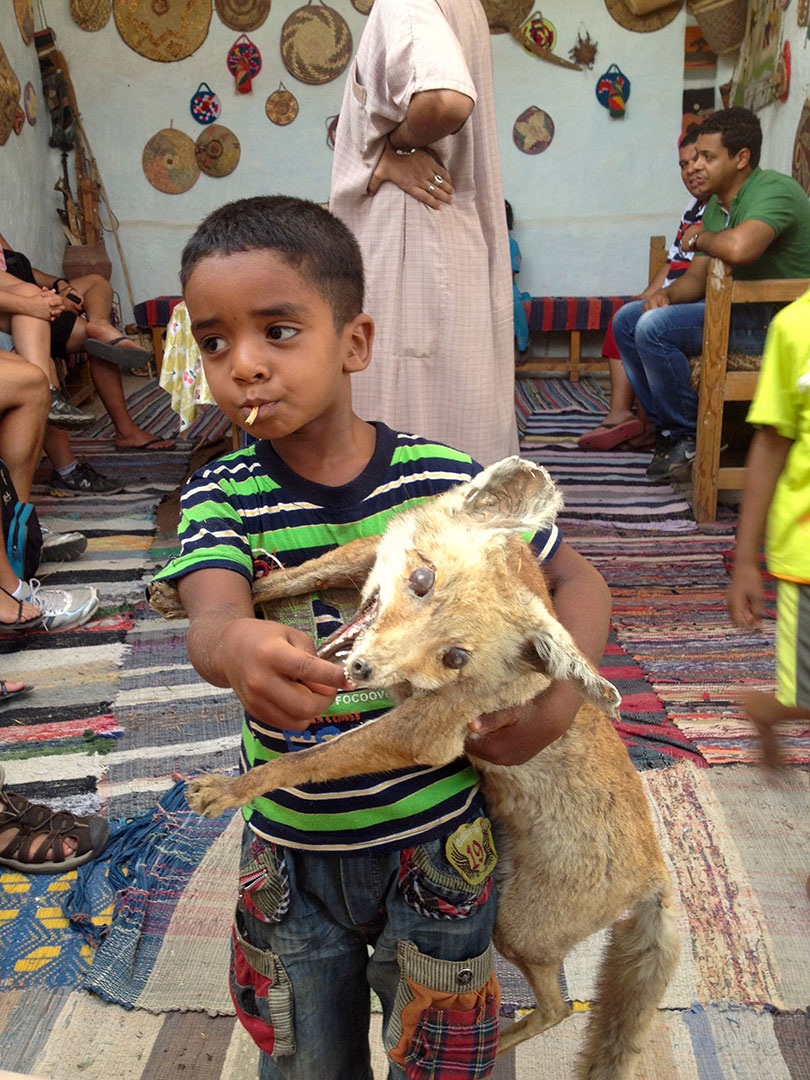 Local Nubian village boy with his scary stuffed animal toy inside his home decorated with rugs and wall ornaments in Egypt