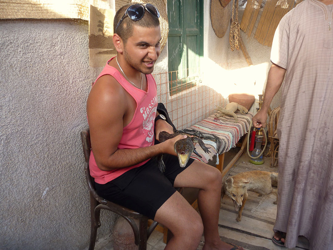 Pet crocodiles inside the family home in a Nubian Village in Egypt