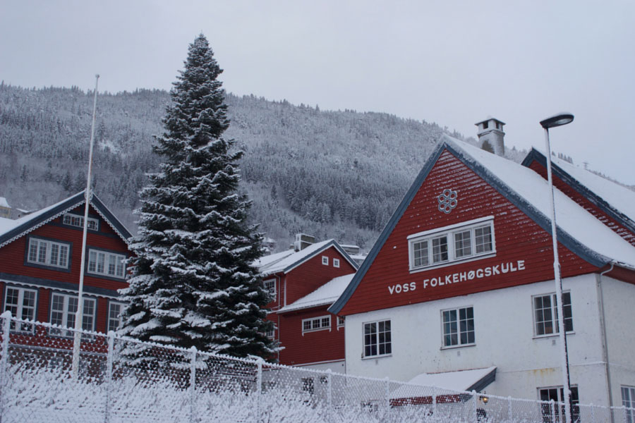 Red and white houses covered in snow in Voss, Norway during winter with a giant snow covered tree