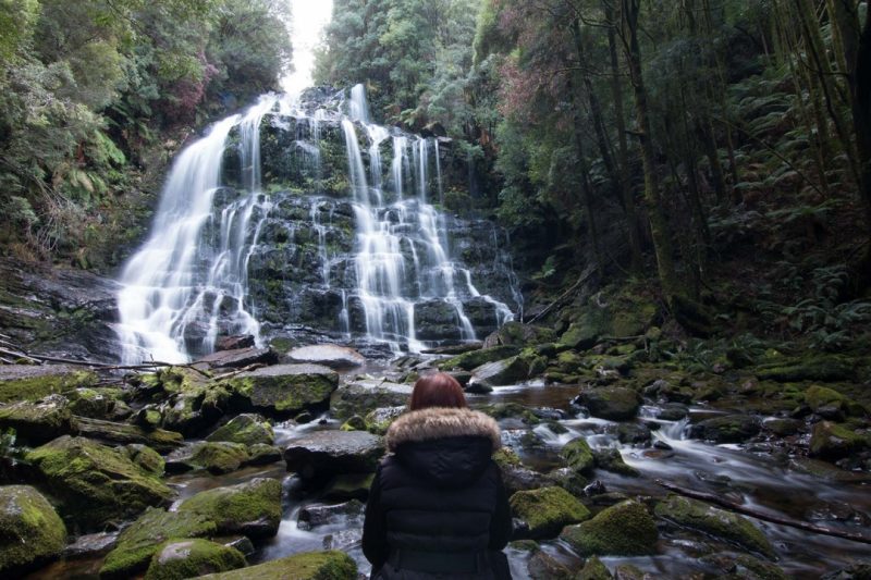 Nelson Falls Tasmania