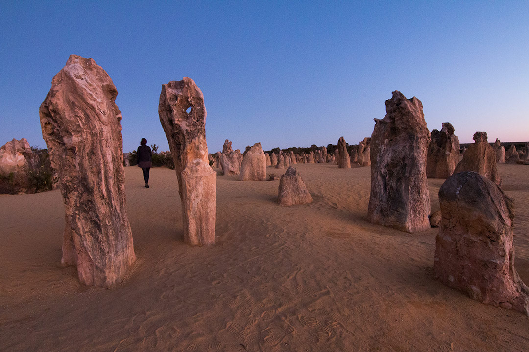 The Pinnacles in Western Australia at sunset