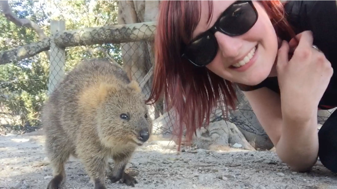 Quokka Selfie on Rottnest Island