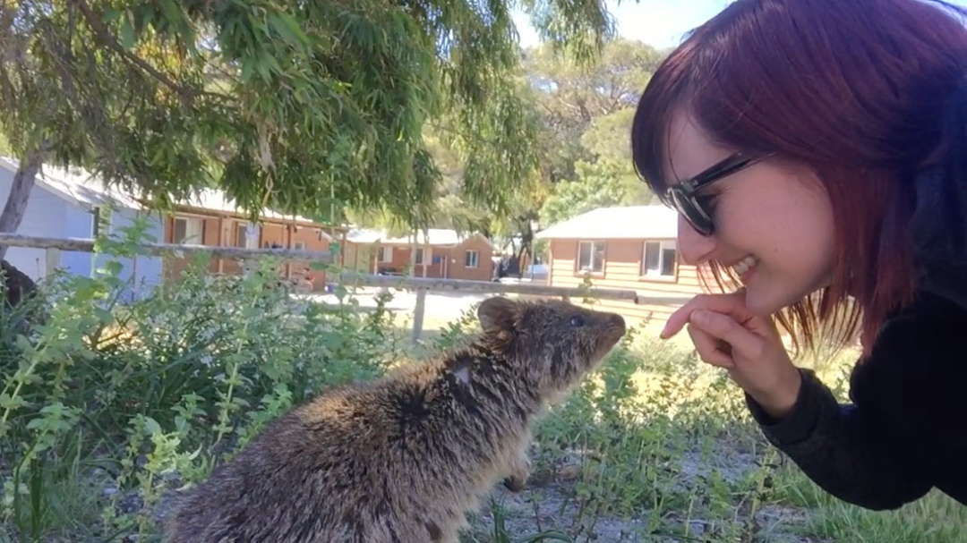 Quokka Selfie on Rottnest Island