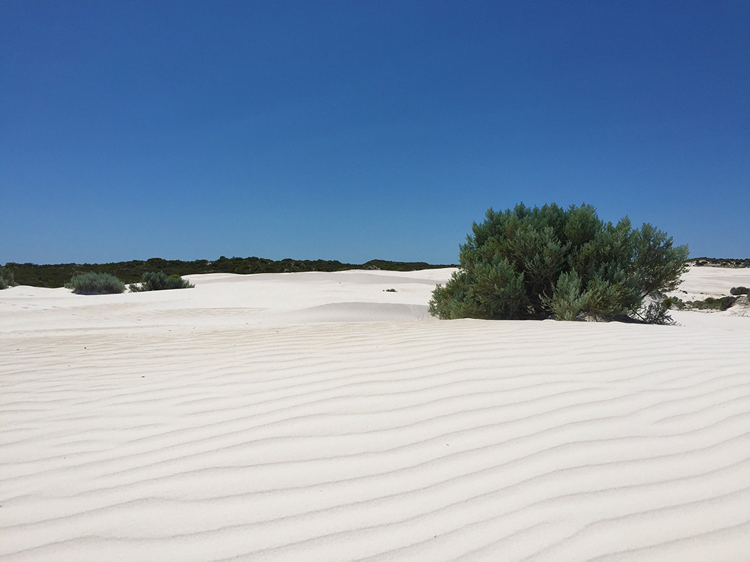 Wanagarren Nature Reserve during the day