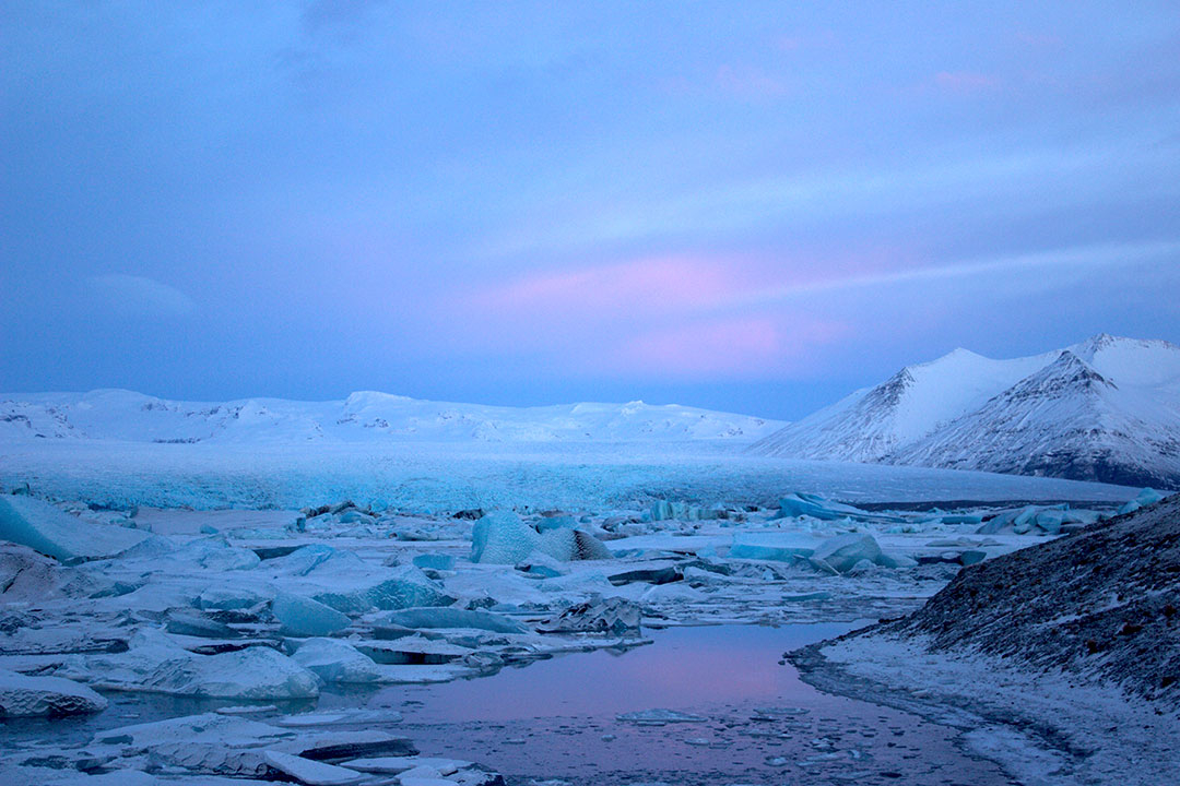 Jokulsarlon Glacier Lagoon at sunrise with pink skies and icebergs