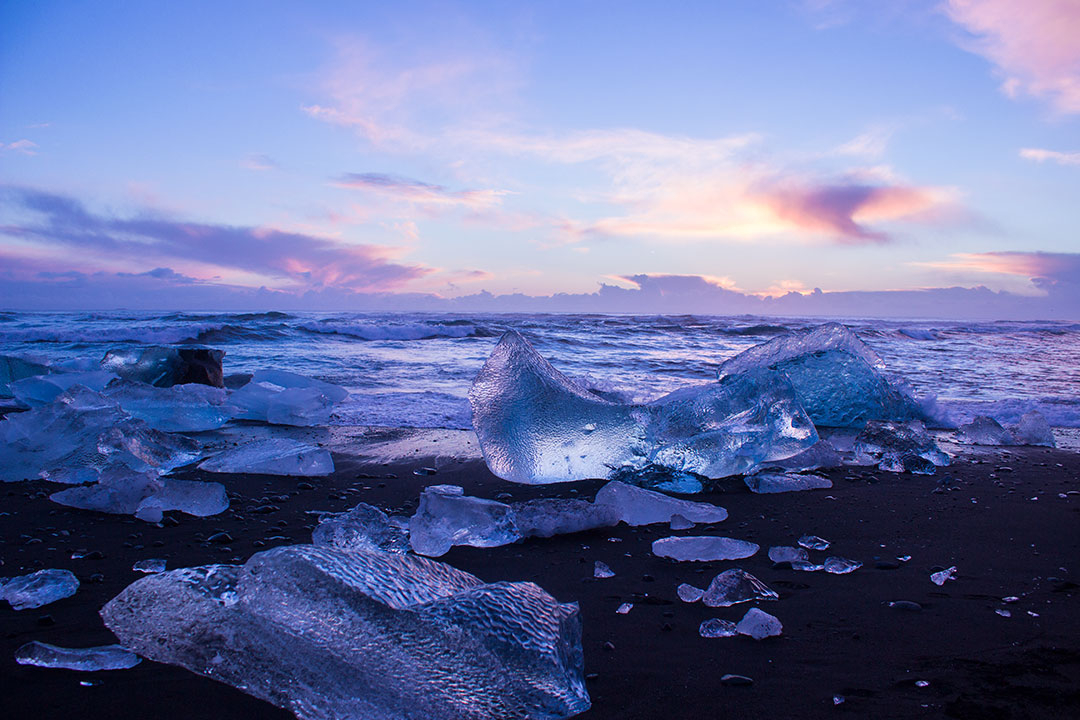 Diamond Beach at Jokulsarlon Glacier Lagoon at sunrise with icebergs on the black sand beach and pink skies