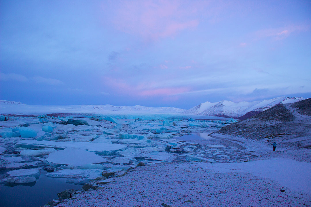 Jokulsarlon Glacier Lagoon at sunrise with pink skies and icebergs