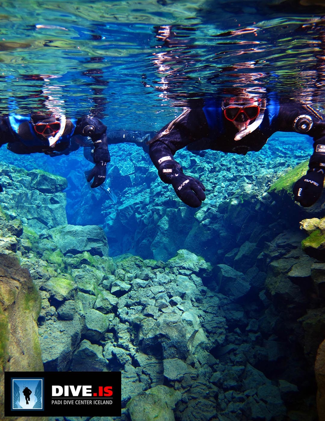 Silfra Fissure swimming and snorkelling between the tectonic plates in Iceland