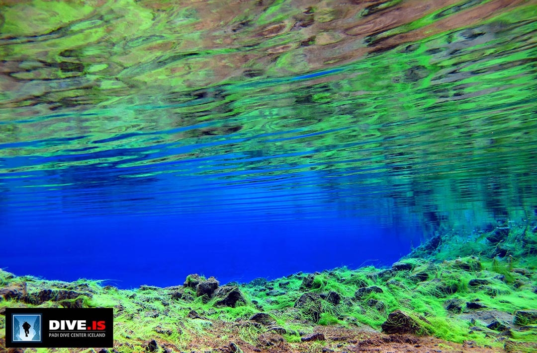 Silfra Fissure swimming and snorkelling between the tectonic plates in Iceland