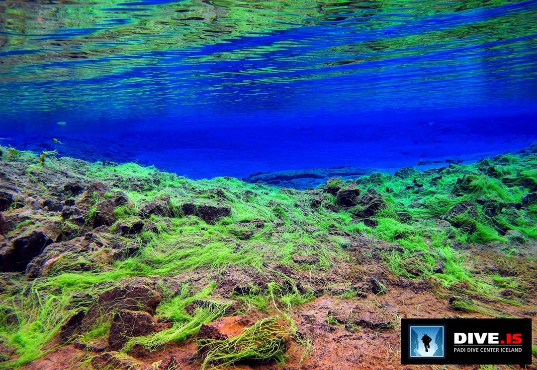 Silfra Fissure swimming and snorkelling between the tectonic plates in Iceland