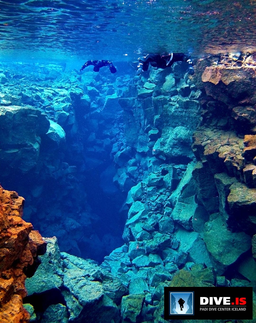 Silfra Fissure swimming and snorkelling between the tectonic plates in Iceland