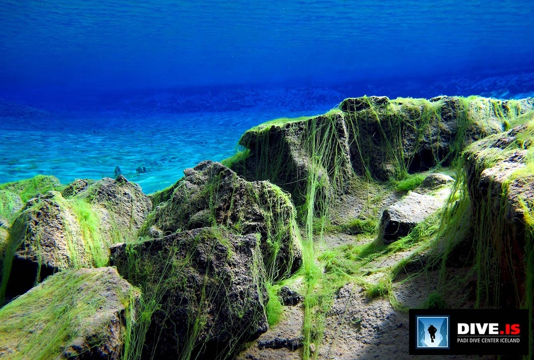 Silfra Fissure swimming and snorkelling between the tectonic plates in Iceland