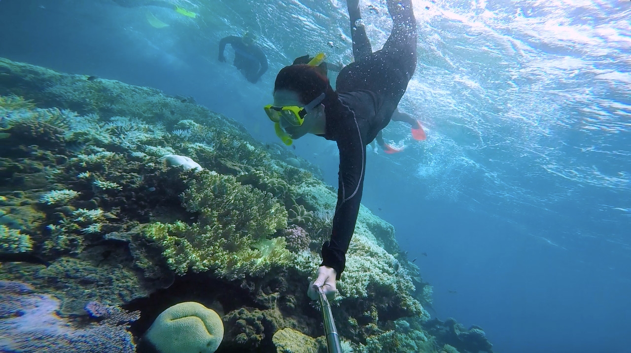 Great Barrier Reef Snorkelling - Australia - Discovering New Skies